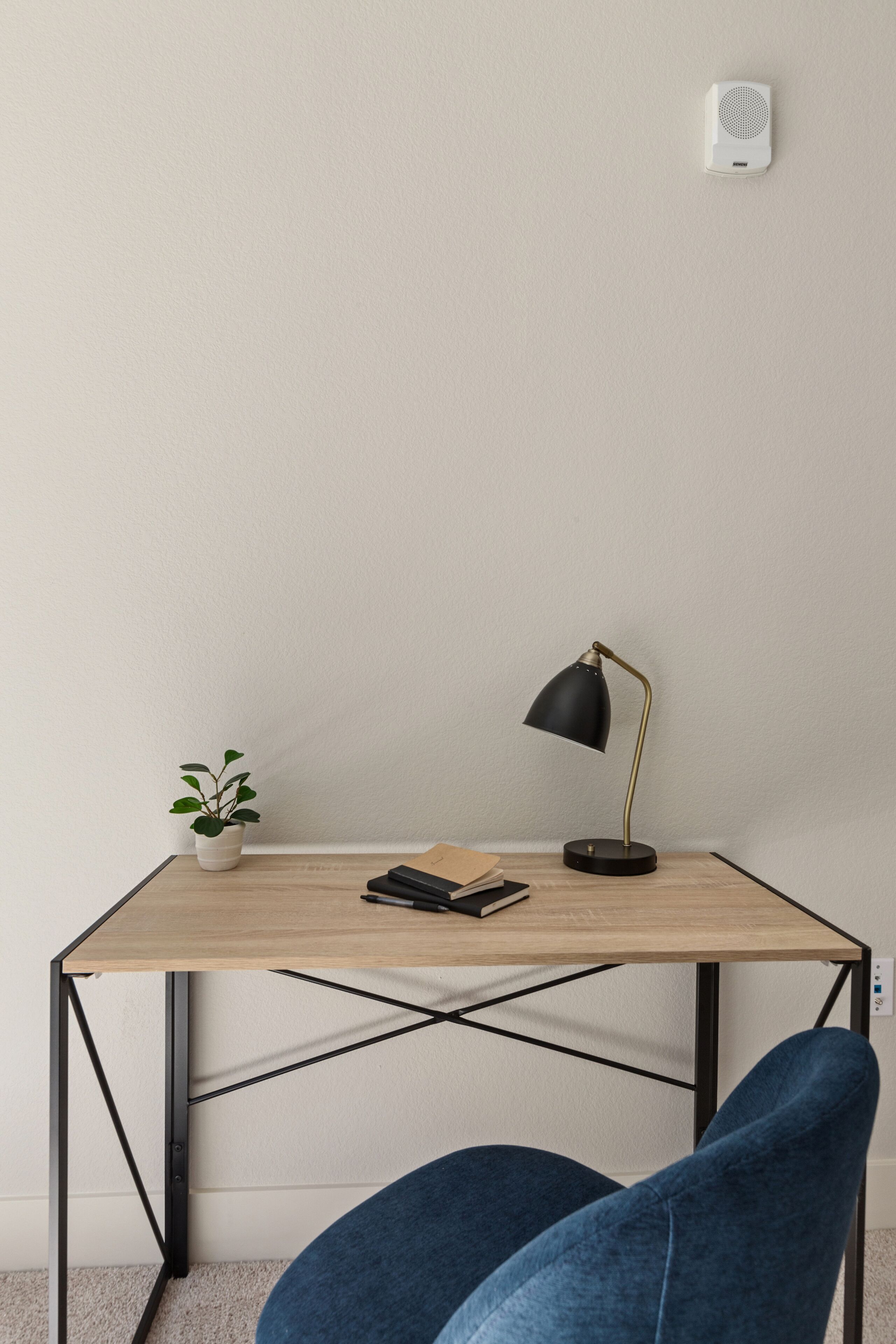 A desk with a laptop, a lamp, and a potted plant.