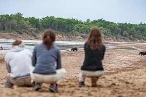 Safari - Glamping Los Palmares (Puerto Tirol)