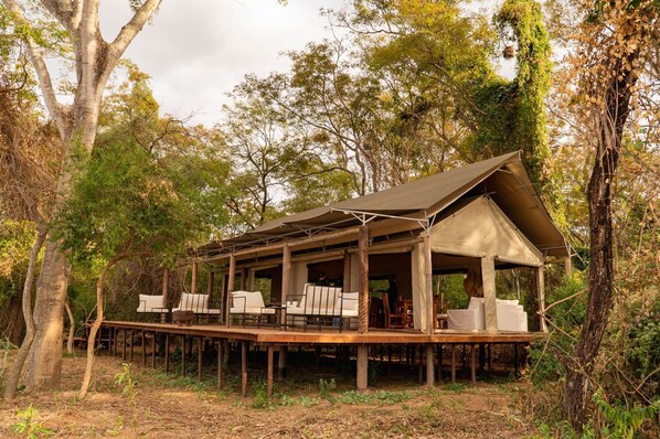 A wooden cabin with a covered deck, surrounded by trees. - Glamping Los Palmares (Puerto Tirol)