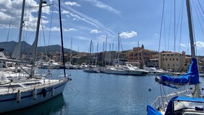 Un puerto deportivo con varios veleros amarrados, cielo despejado y edificios al fondo.
