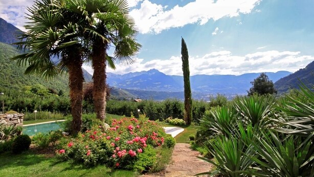 A garden with palm trees, a pathway, and a pool.