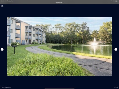 Elegance in the Great Wisconsin Woods!!!