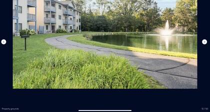 Elegance in the Great Wisconsin Woods!!!