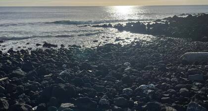 Treasure of the Atlantic