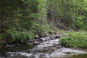 Un área boscosa con un arroyo serpenteante.