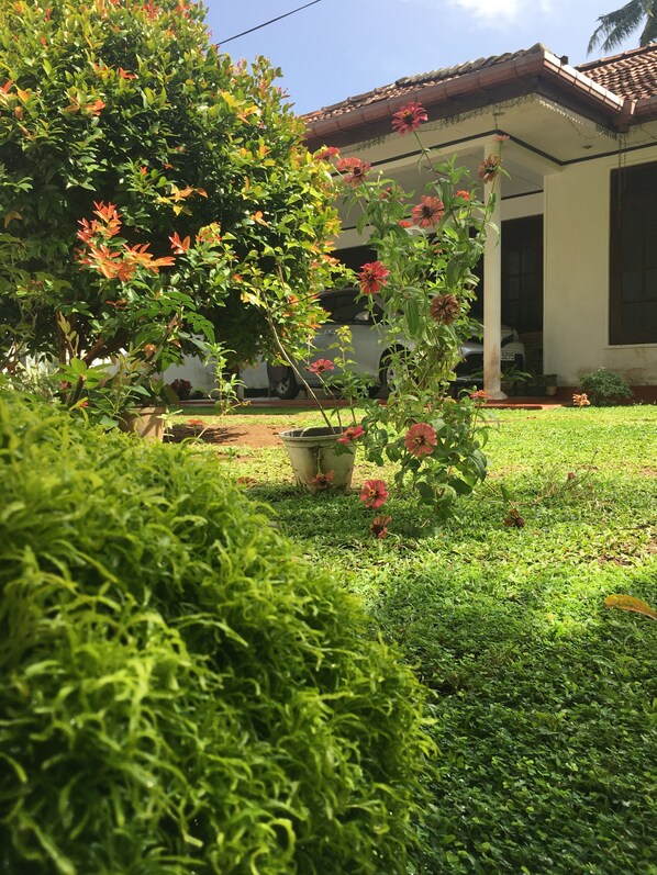 Property grounds - calm and quit place to live -5 min to access to the beach (Hikkaduwa)