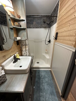 Shower, towels, toilet paper