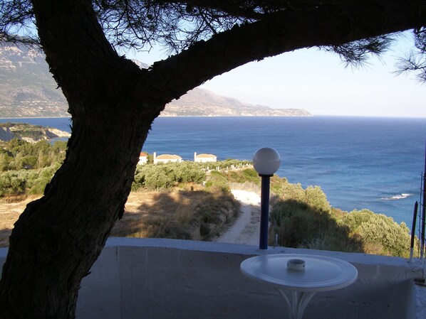 A balcony with a view of the sea, a lamp post, and a tree.