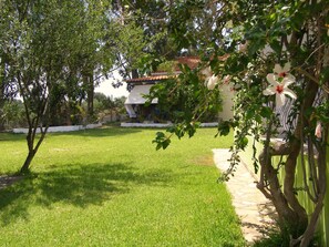 Terrein van de accommodatie