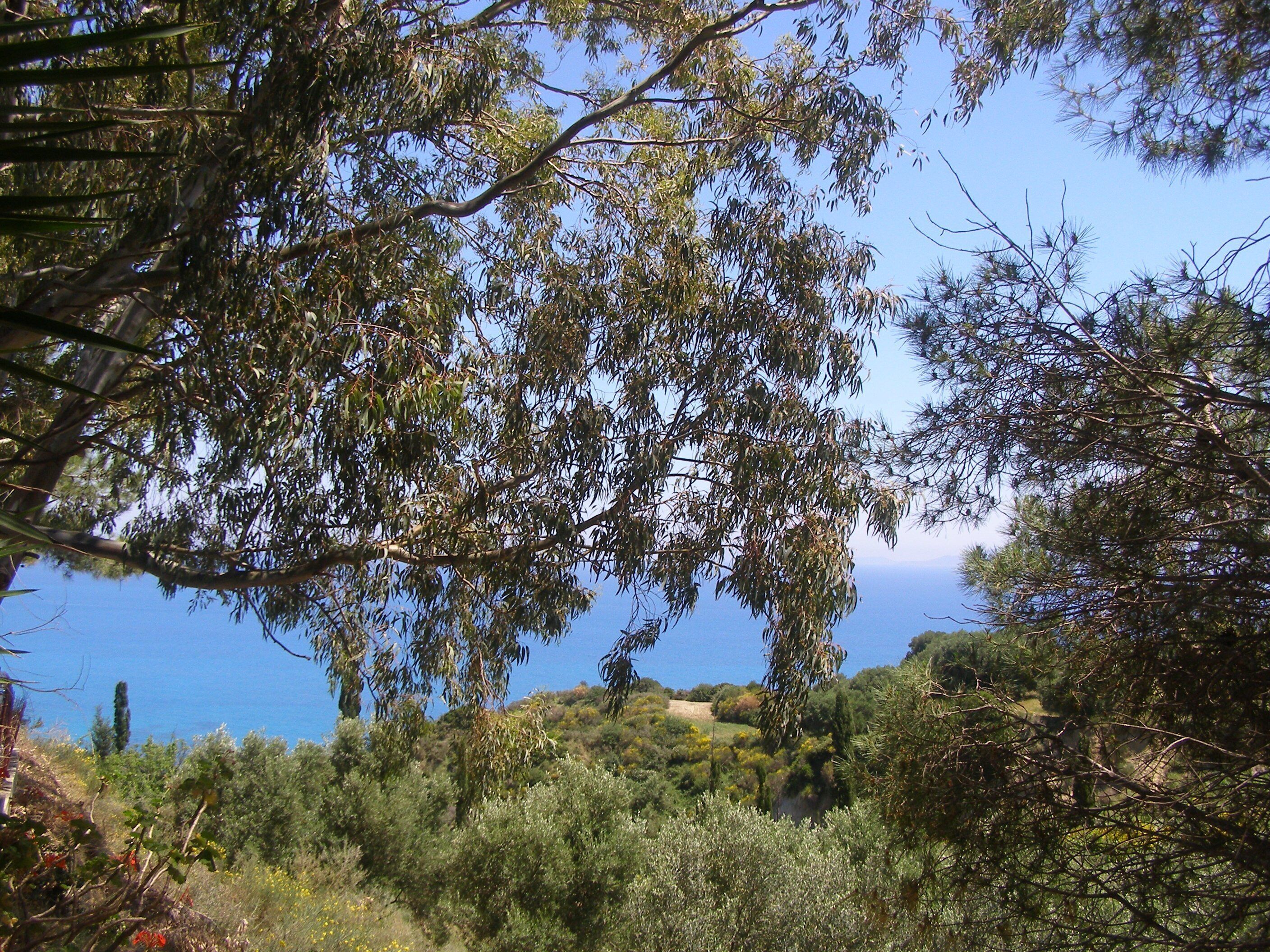 Eine Küstenlandschaft mit dichtem Grün und freiem Blick auf das Meer.