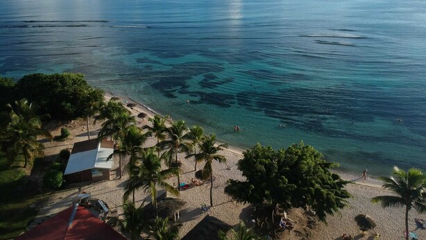 A beach with clear turquoise water, palm trees, and a few people swimming. - Guadeloupe, Saint-François Anse des Rochers, 1/4 villa , vue mer citerne wifi pr (Saint-François)