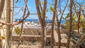 A view through dense foliage with a distant view of a coastal area, including buildings and the sea. - Medina town house (Sousse)