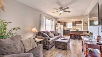 智能電視、壁爐、DVD 播放機、書籍