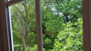 A view through a window of a garden with a lawn, a bird feeder, and a paved path. - Pearl in the heart of Bruges (Brugge)