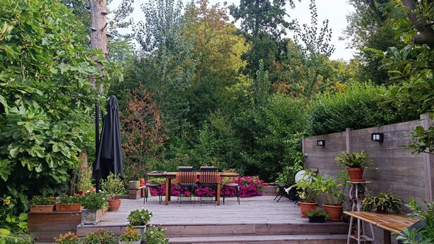 A wooden deck with a table and chairs, surrounded by potted plants and flowering shrubs. - Pearl in the heart of Bruges (Brugge)