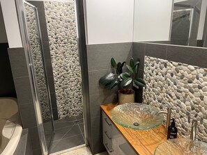 Douche, baignoire à jets, serviettes fournies, savon