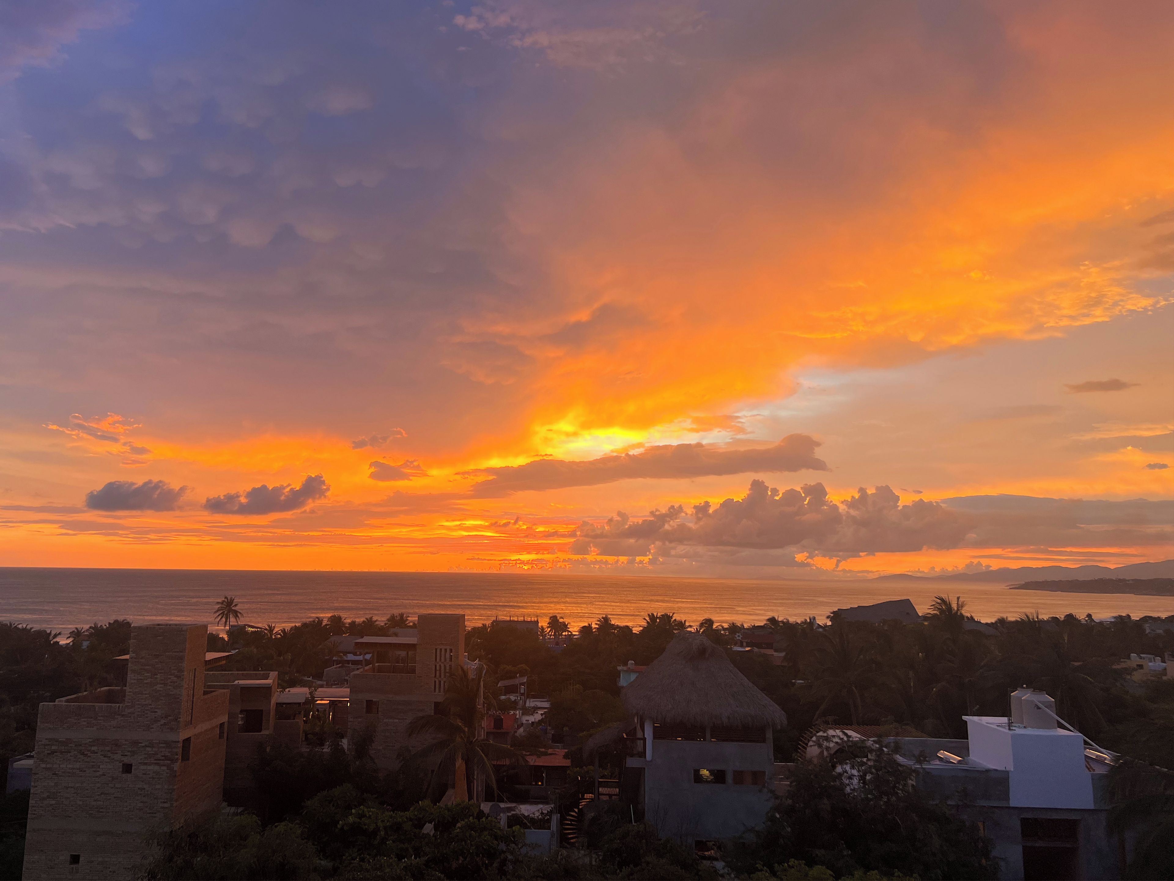 Eine Küstenstadt bei Sonnenuntergang mit Gebäuden und Palmen.