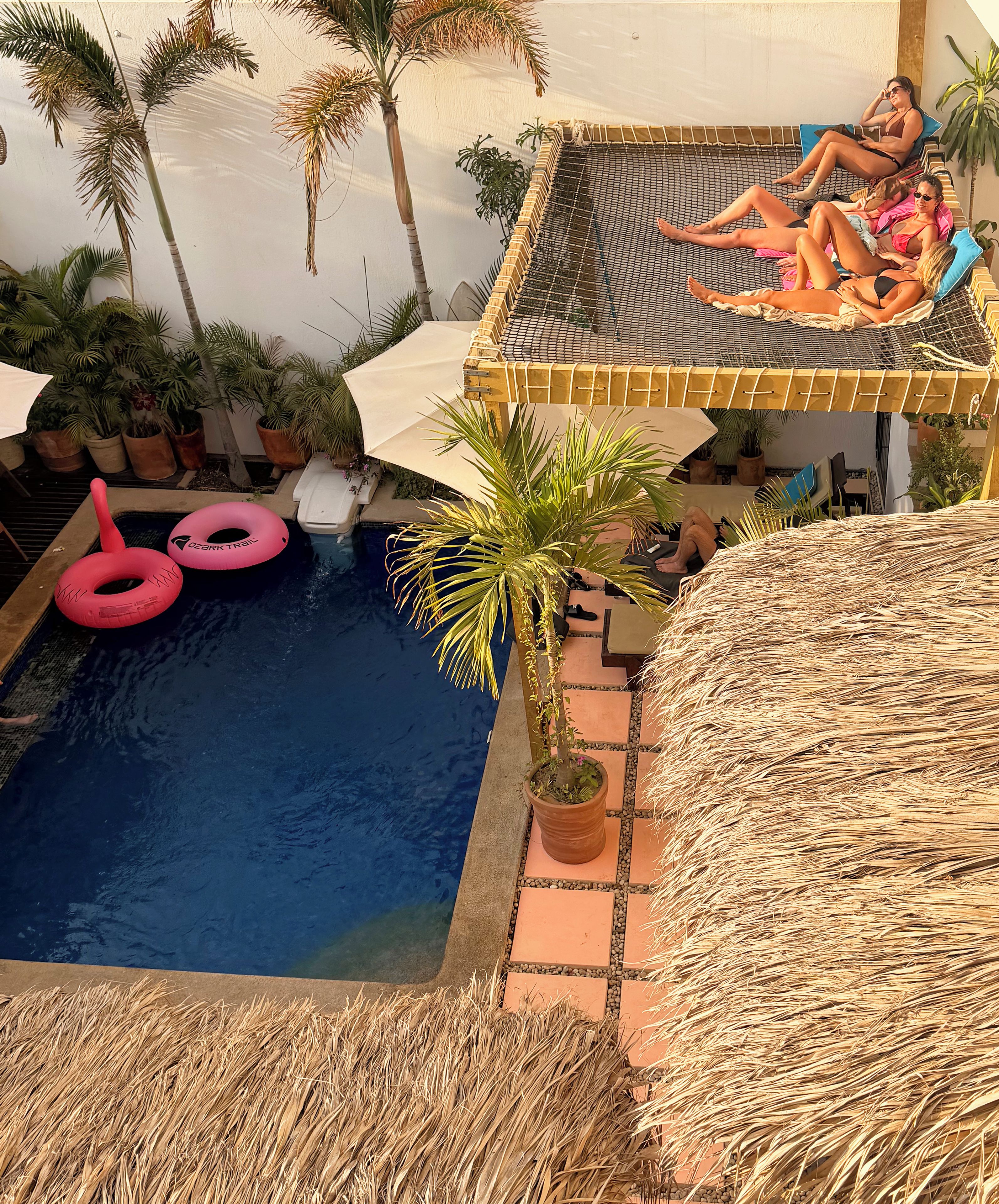 Un área de piscina con techo de paja, sillones de descanso y plantas en macetas.