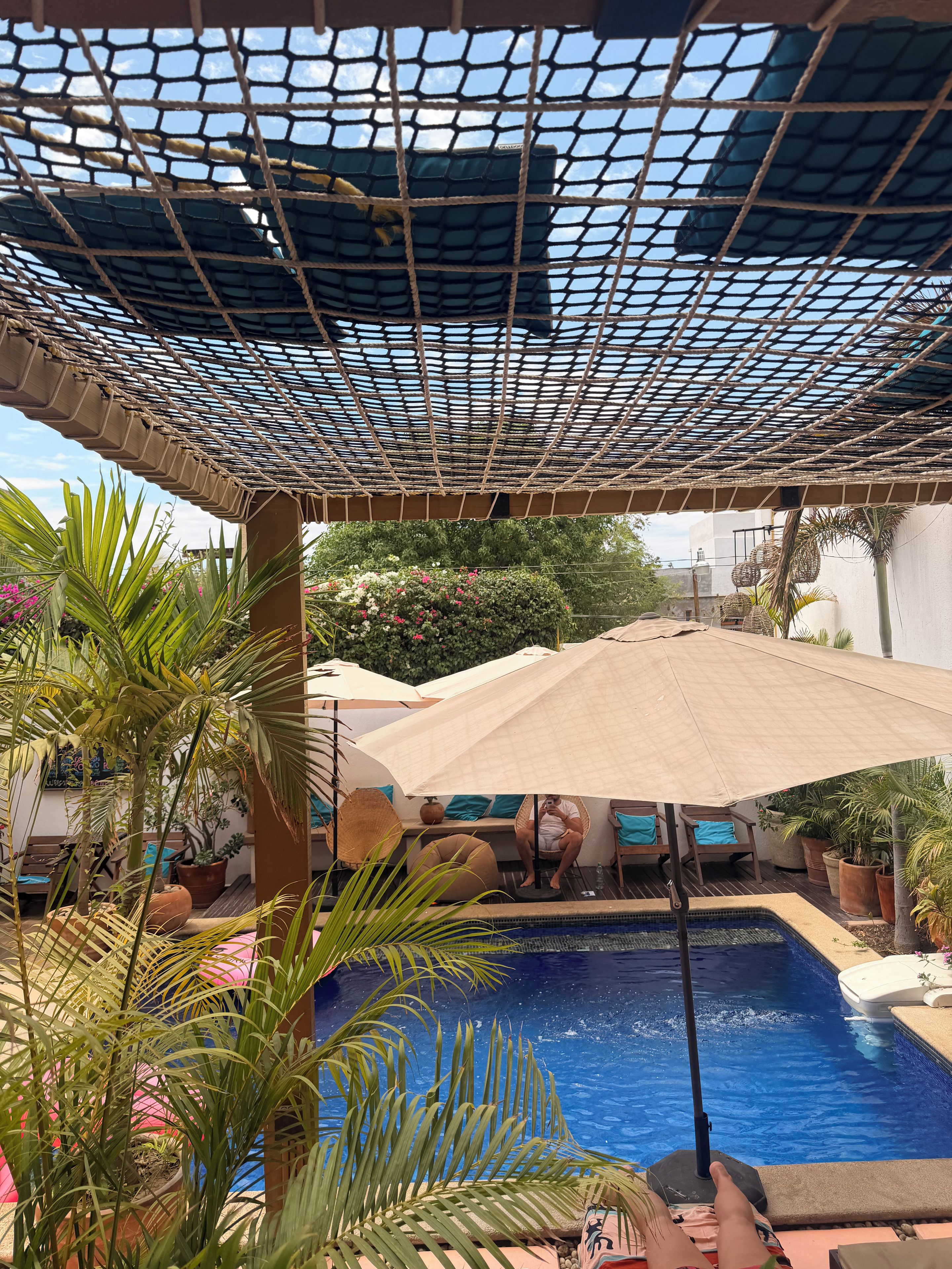 Un área de piscina con techo de malla, sillas de descanso y plantas en macetas.