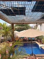 Un área de piscina con techo de malla, sillas de descanso y plantas en macetas.