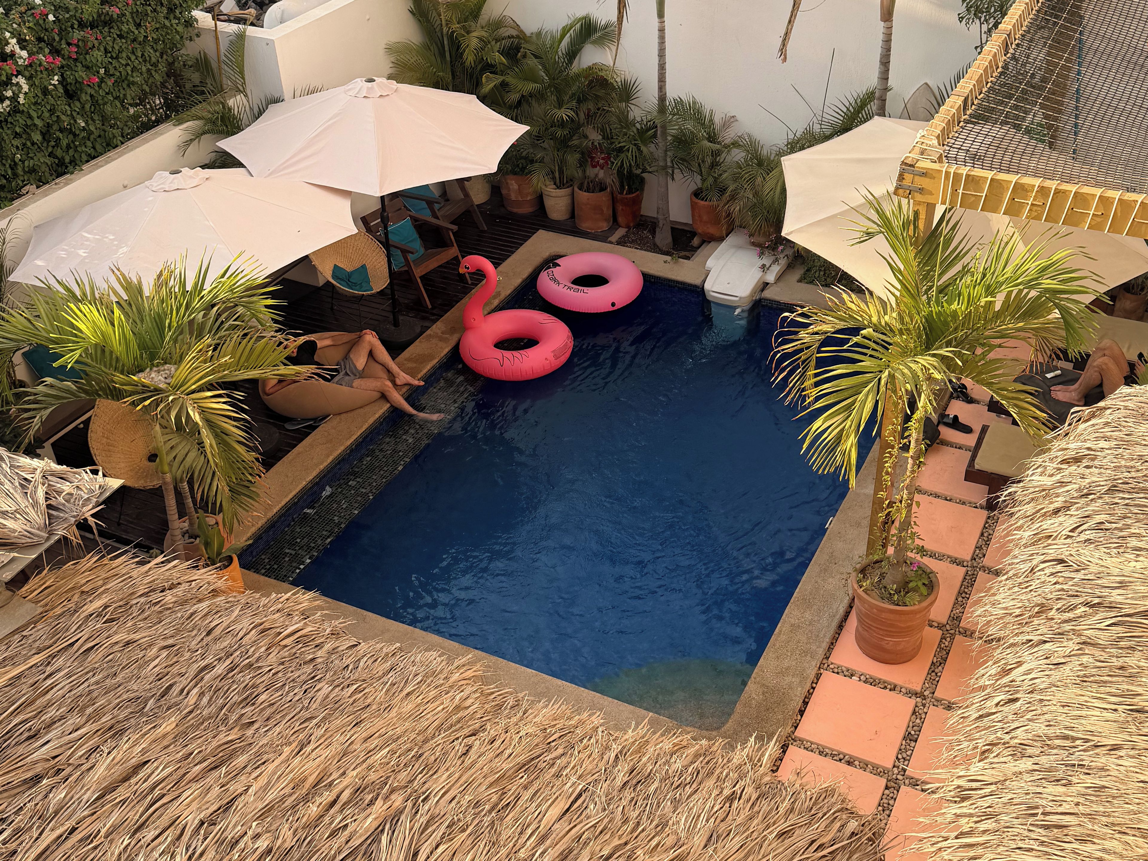 Una piscina con lettini e ombrelloni, circondata da piante in vaso.