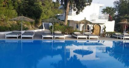 Trees boutique art hotel