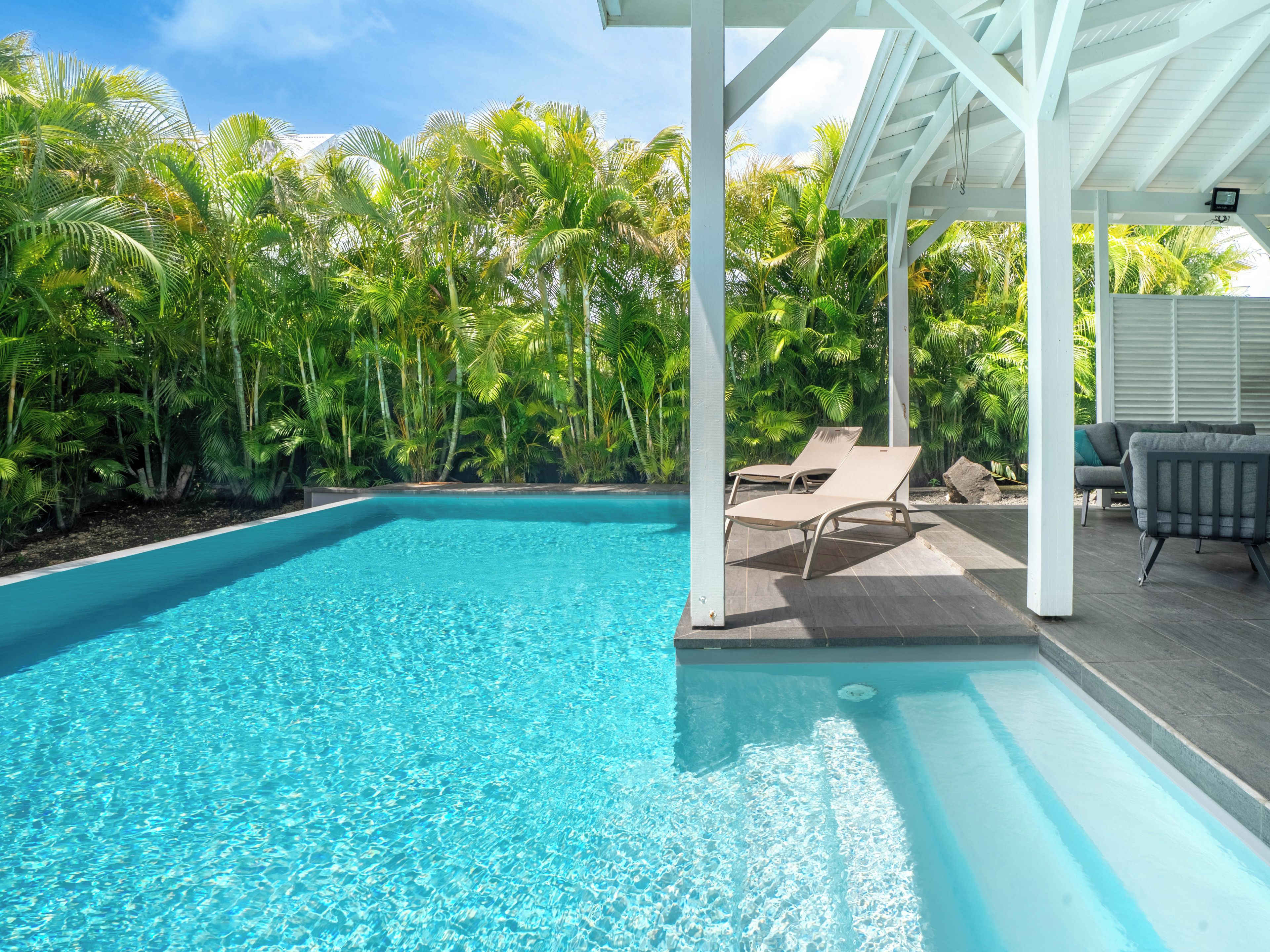 Une piscine d’un bleu éclatant, dotée de chaises longues et d’un patio couvert, le tout entouré d’une végétation luxuriante.