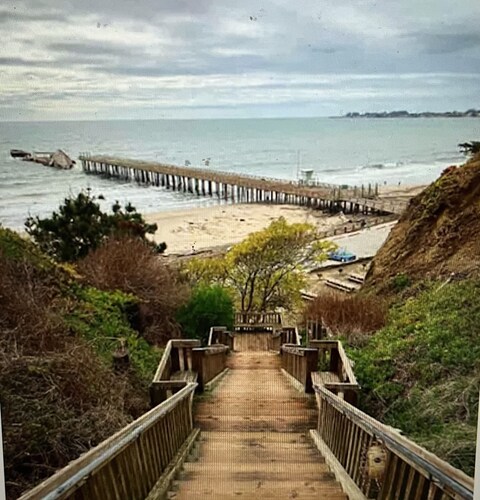 Charming, light-filled home - walk to the beach!