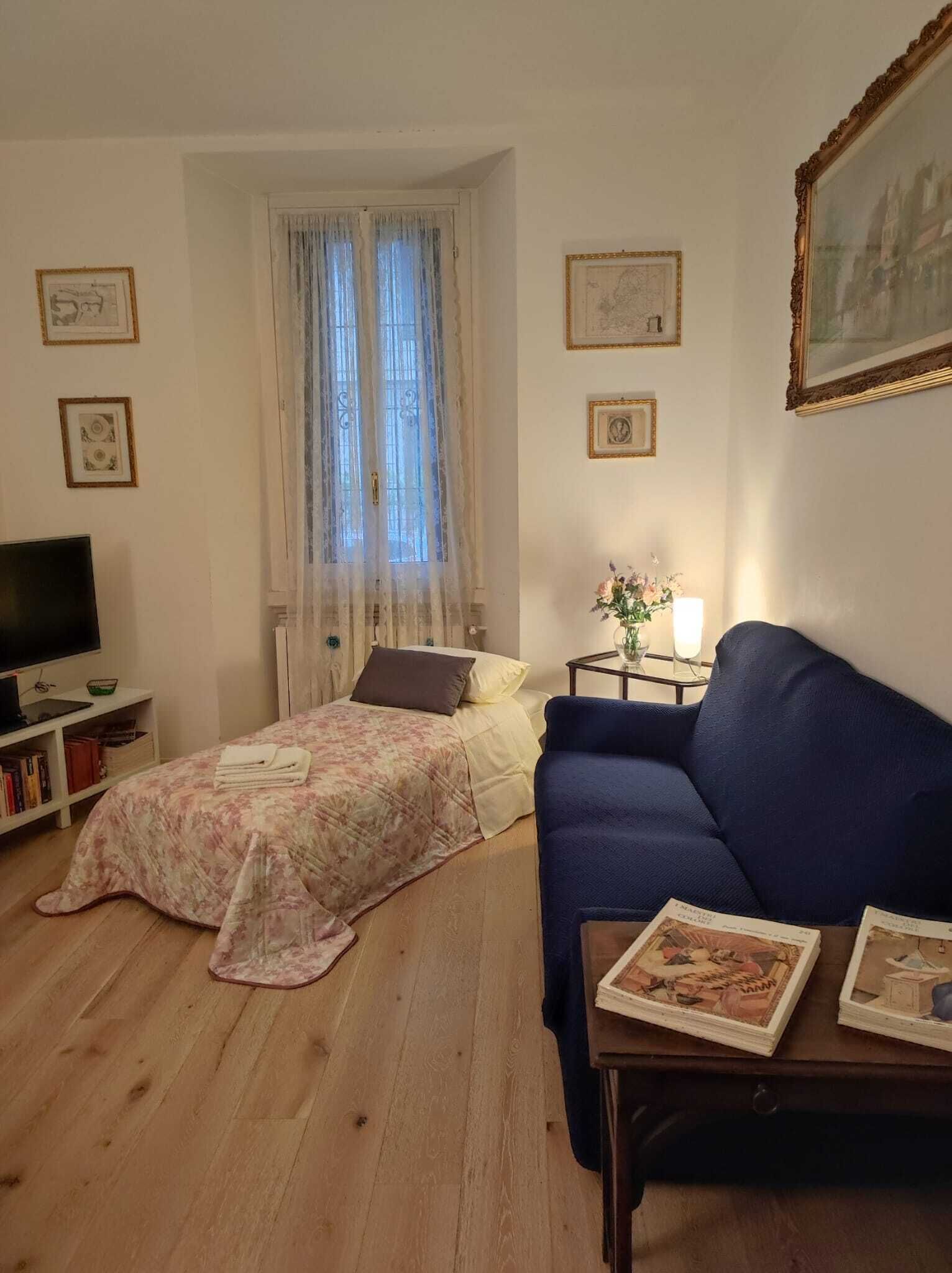 A bedroom with a bed, a TV, a bookshelf, a window with curtains, and a painting on the wall.