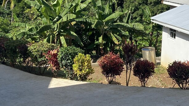 Blick auf einen üppigen Garten mit Bananenstauden und verschiedenen Sträuchern, ein weißes Gebäude mit Wellblechdach und eine ferne Küstenansicht.