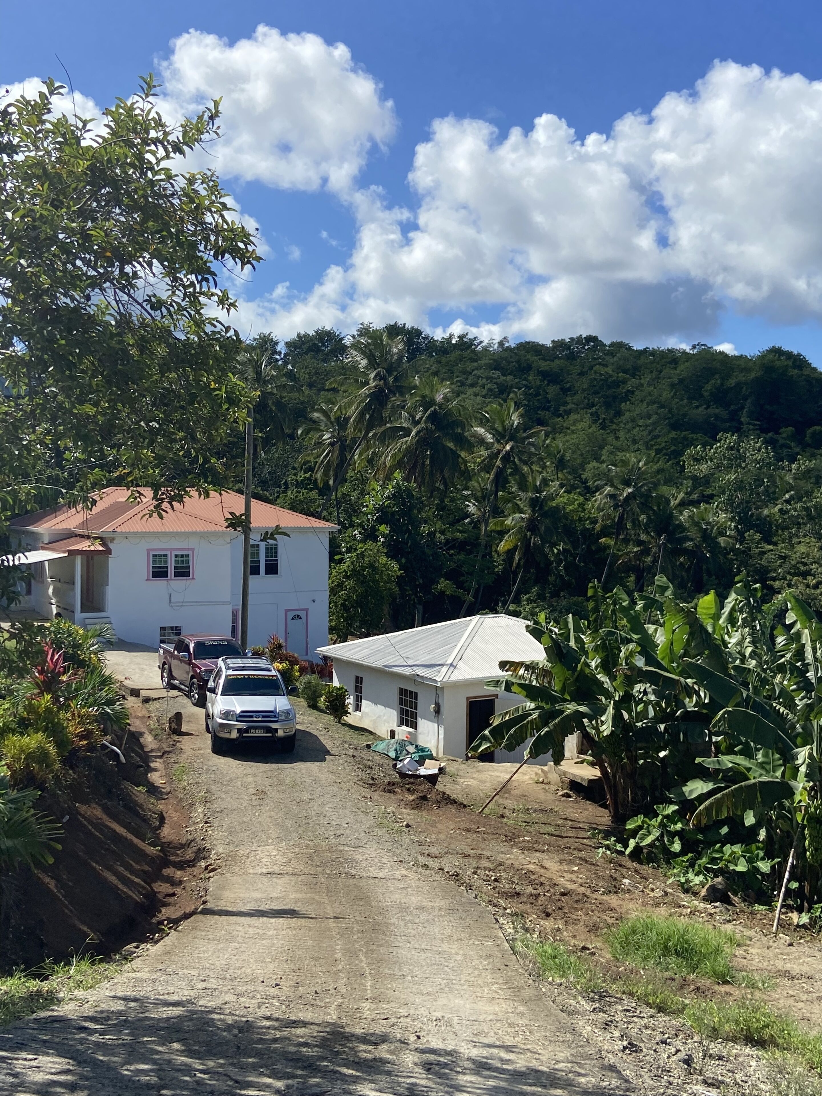 Un chemin de campagne mène à une maison blanche au toit rouge, entourée d’une végétation luxuriante et de palmiers.