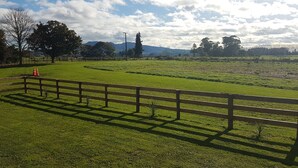 Ein grasbewachsenes Feld mit einem Holzzaun und Bäumen im Hintergrund.
