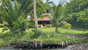 Ein tropisches Resort mit einem strohgedeckten Gebäude, umgeben von üppiger Vegetation und Palmen.