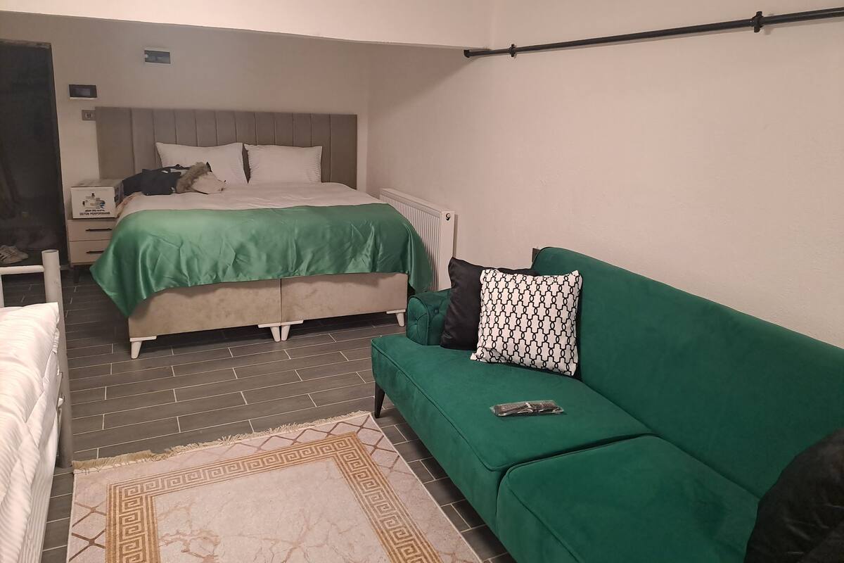 A bedroom with a bed, a green sofa, a patterned rug, and a radiator.