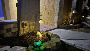 A stone planter with a small tree and a green-lit birdbath. - Waterfront adjacent to the Gulf of Mexico (Hudson)