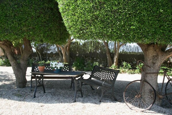 Un jardin avec un banc, une table et un vélo.