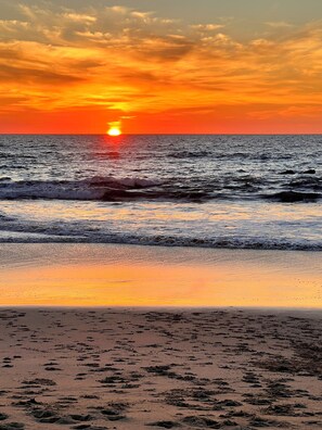 ビーチの近く、サンラウンジャー、ビーチタオル