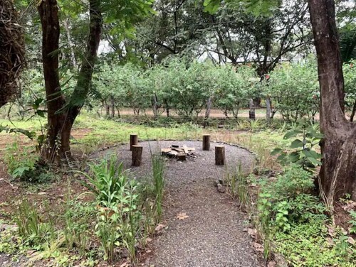 New, El Chic Shack, Rustic yet Comfy walk to Negra