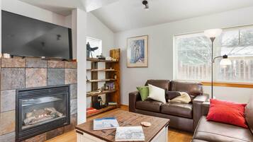 TV, fireplace, books, stereo