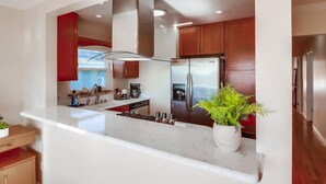 A modern kitchen with stainless steel appliances, a marble countertop, and wooden cabinets. - Ocean view! Walk to Sunset Cliffs - Surf - Beach! (San Diego)