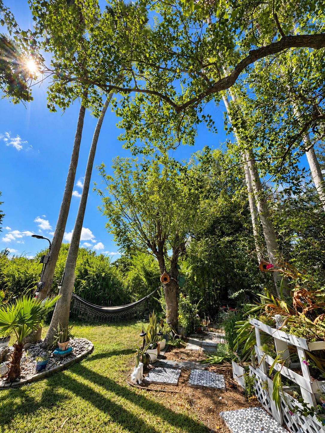 Un jardín con una hamaca, plantas en macetas y una valla de madera.