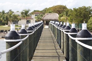 Property grounds - Newly renovated cozy and spacious beach house with breathtaking ocean front  (Big Pine Key)