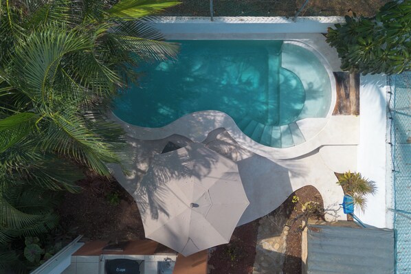 An aerial view of a swimming pool with a unique wavy edge design, surrounded by palm trees and a covered patio area.