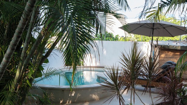 A swimming pool surrounded by tropical plants, a white wall, and an umbrella. - Staffed Ocean-View Villa · Private Pool · Starlink · 2 Min to Zicatela (Puerto Escondido)