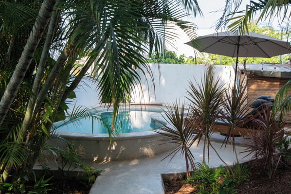 Une piscine entourée de plantes tropicales, un mur blanc et un parasol.