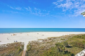 على الشاطئ، بار على الشاطئ