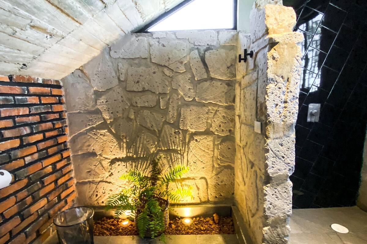 Un baño con pared de piedra, pared de ladrillo, inodoro blanco y una pequeña planta.