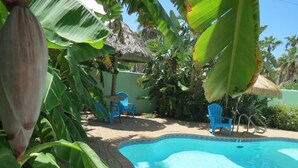 A swimming pool surrounded by tropical plants and blue plastic chairs.