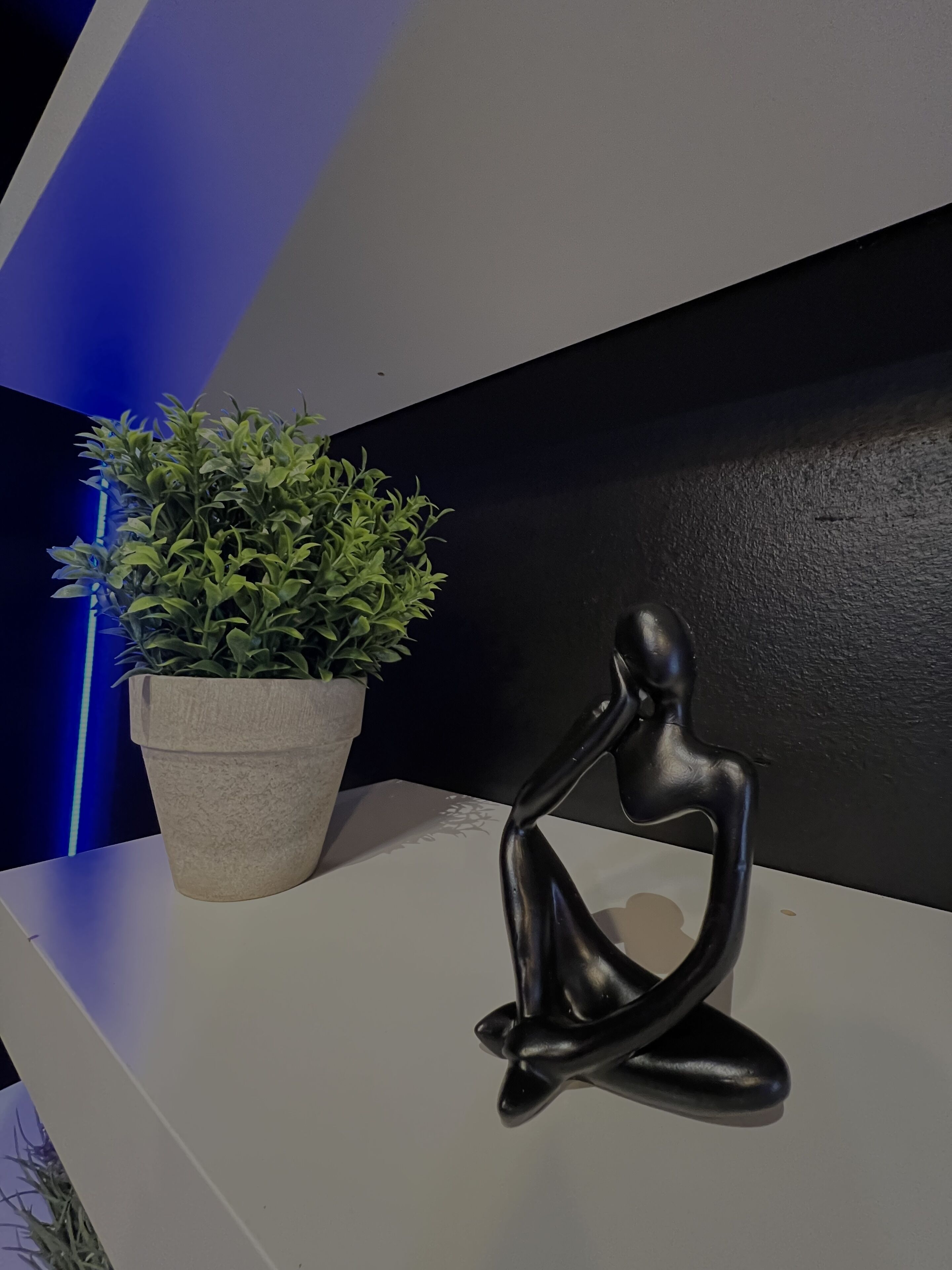 Una planta en maceta y una escultura negra sobre un estante blanco frente a una pared negra con detalles azules.
