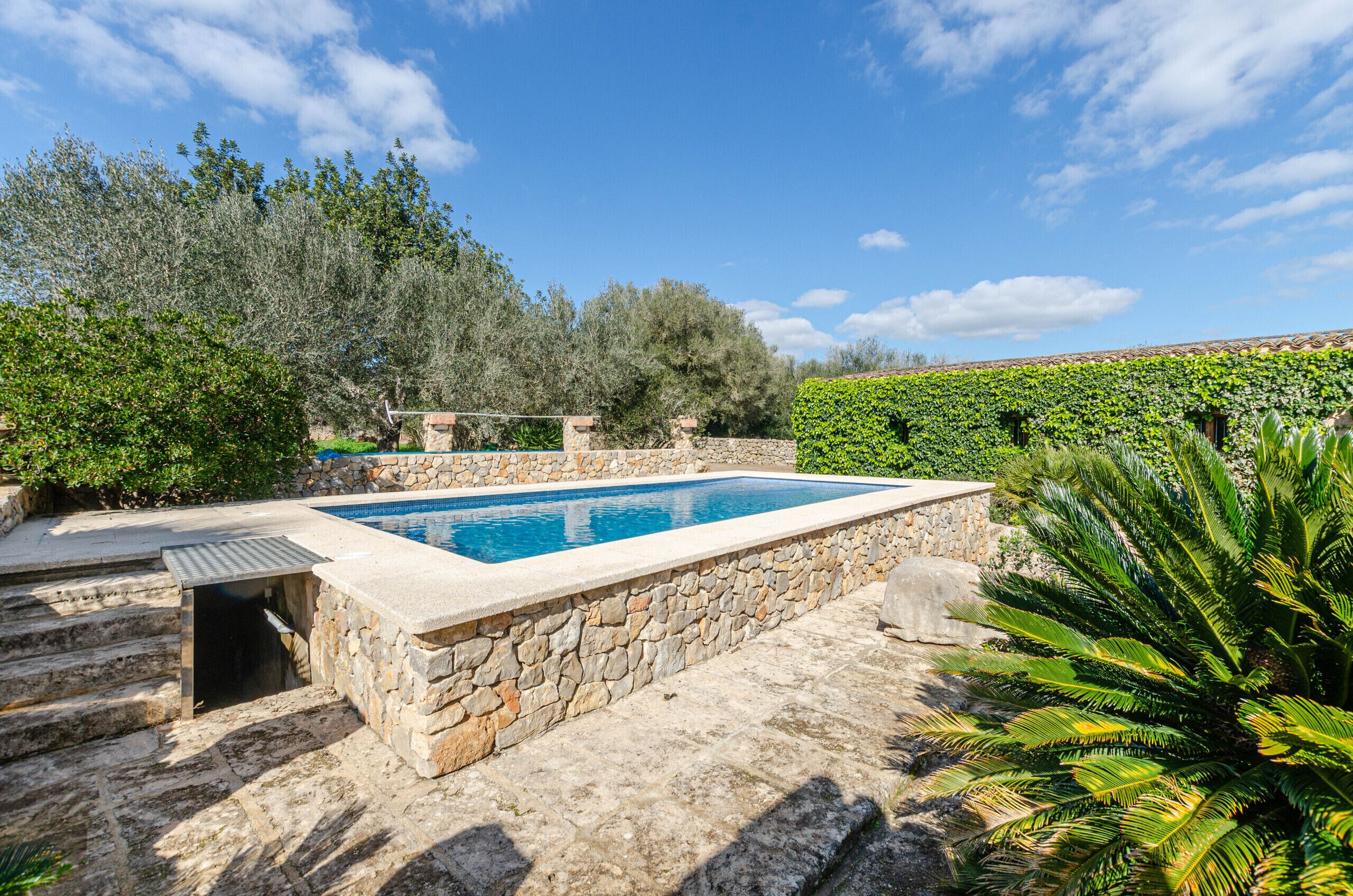 A stone pool with a stone deck, surrounded by lush greenery and trees.